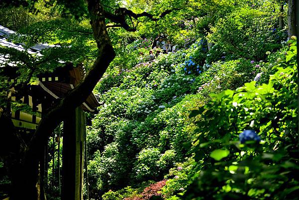 DSC_6096.JPG DSC_6096.JPG