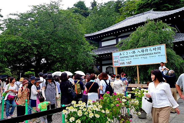 DSC07040.JPG DSC07040.JPG