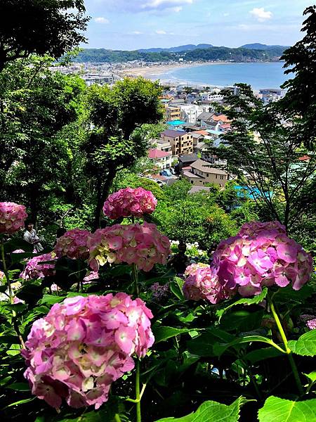 IMG_2248.JPG IMG_2248.JPG