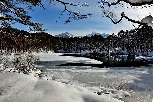 DSC_2985.JPG DSC_2985.JPG