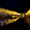 13DSC_9844昭和紀念公園靠近立川口的銀杏林，夜間也很美麗