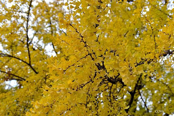 04DSC_9188.JPG 04DSC_9188.JPG