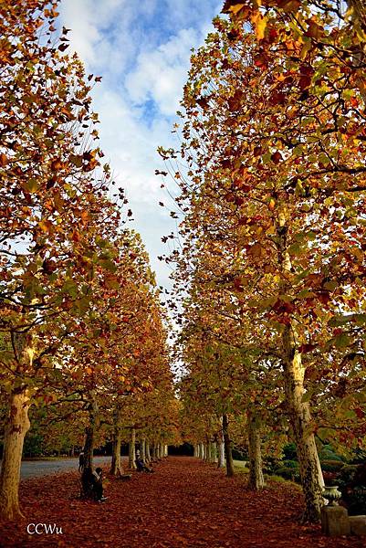 01DSC_9251.JPG 01DSC_9251.JPG