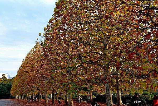 03DSC_9264.JPG 03DSC_9264.JPG