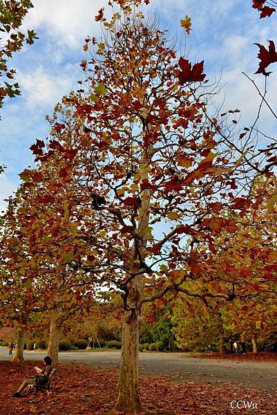 02DSC_9236.JPG 02DSC_9236.JPG