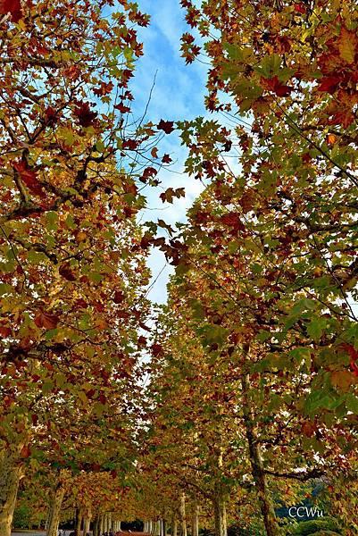 03DSC_9257.JPG 03DSC_9257.JPG