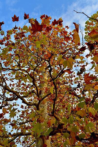 03DSC_9269.JPG 03DSC_9269.JPG