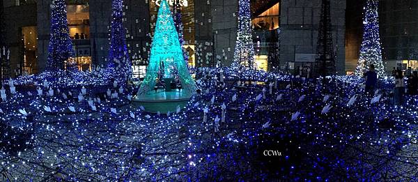 09IMG_7259.JPG 09IMG_7259.JPG