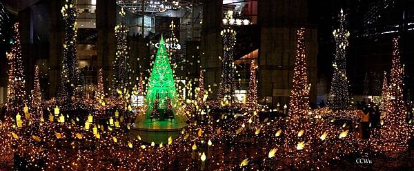 10IMG_7266.JPG 10IMG_7266.JPG