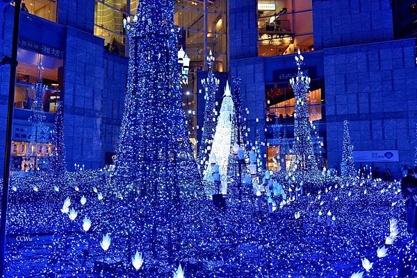 08DSC_9320.JPG 08DSC_9320.JPG