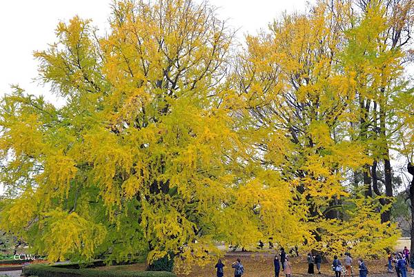 05DSC_9197.JPG 05DSC_9197.JPG