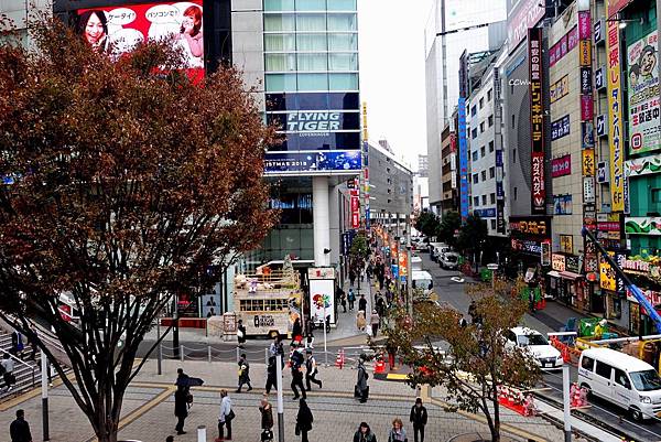 15DSC06730.JPG 15DSC06730.JPG