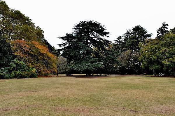 22DSC_9110.JPG 22DSC_9110.JPG