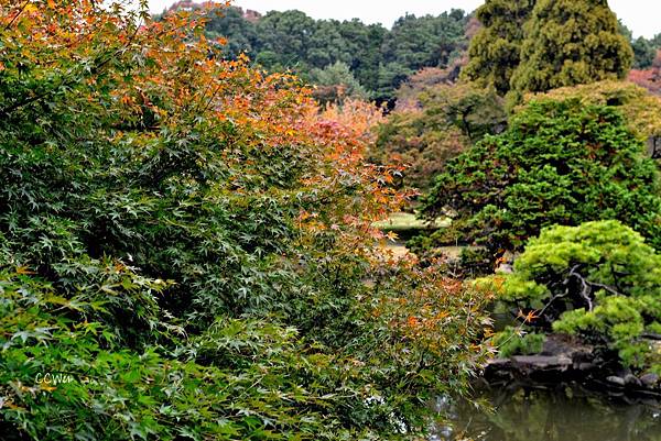 26DSC_9128.JPG 26DSC_9128.JPG