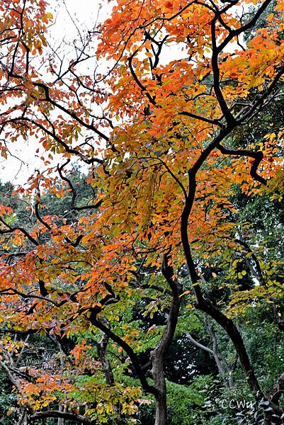 24DSC_9111.JPG 24DSC_9111.JPG