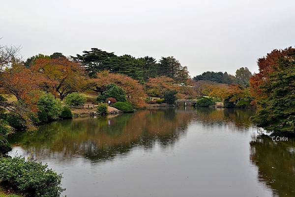 25DSC_9129.JPG 25DSC_9129.JPG