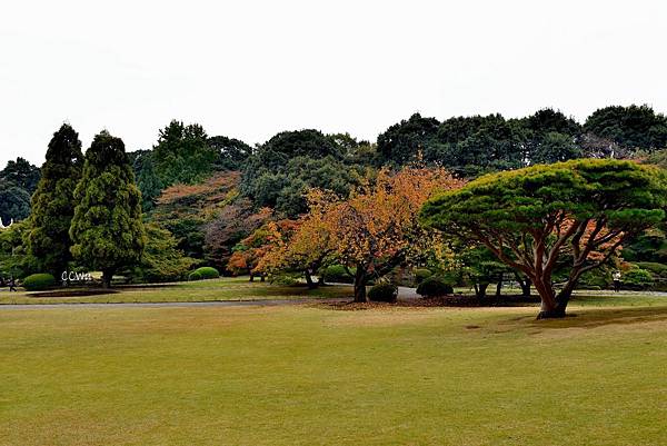 23DSC_9112.JPG 23DSC_9112.JPG