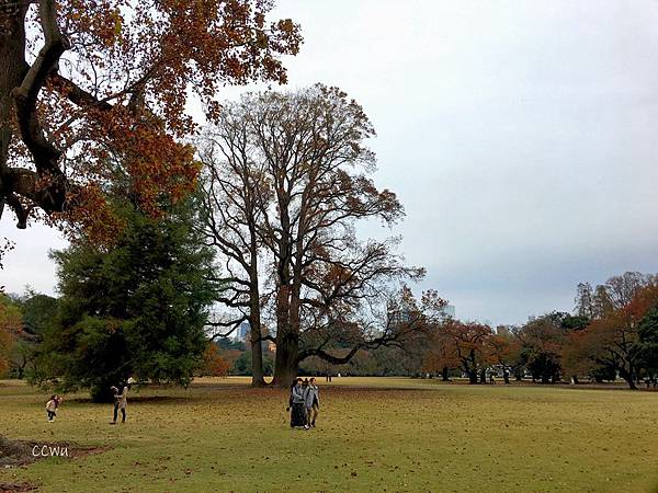 28IMG_7163.JPG 28IMG_7163.JPG