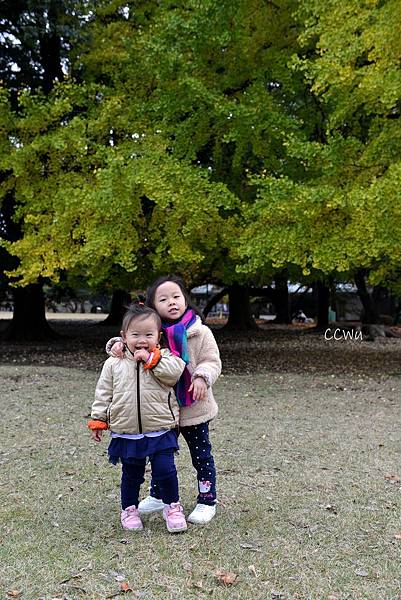 30DSC_9144.JPG 30DSC_9144.JPG