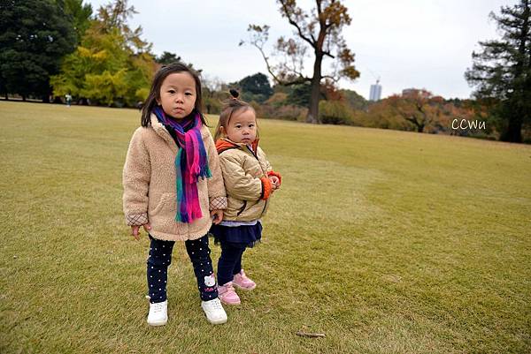 31DSC_9169.JPG 31DSC_9169.JPG