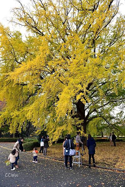 34DSC_9193.JPG 34DSC_9193.JPG