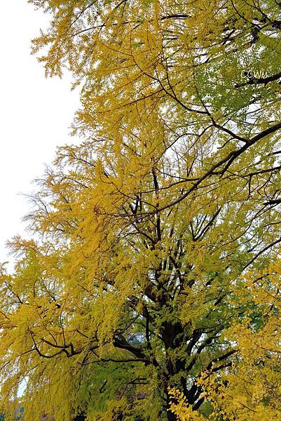 32DSC_9183.JPG 32DSC_9183.JPG