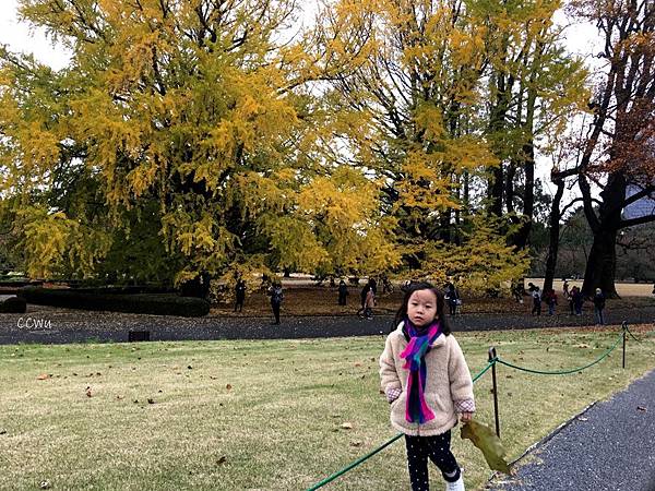 38IMG_7197.JPG 38IMG_7197.JPG