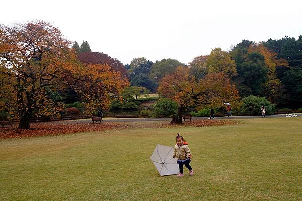 39DSC06746.JPG 39DSC06746.JPG