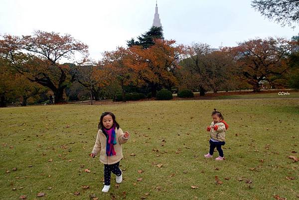 41DSC06750.JPG 41DSC06750.JPG