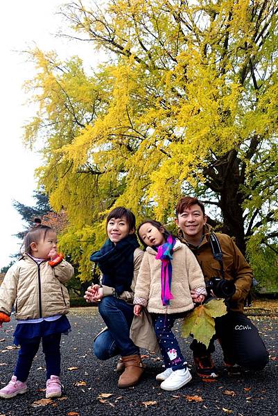 44DSC06780.JPG 44DSC06780.JPG