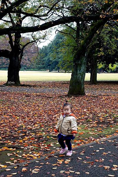 43DSC06774.JPG 43DSC06774.JPG