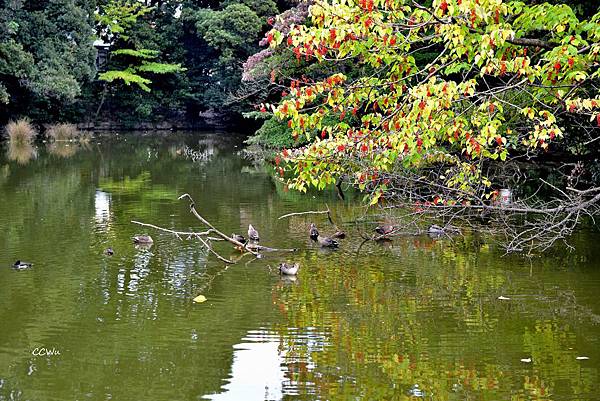 45DSC_9224.JPG 45DSC_9224.JPG