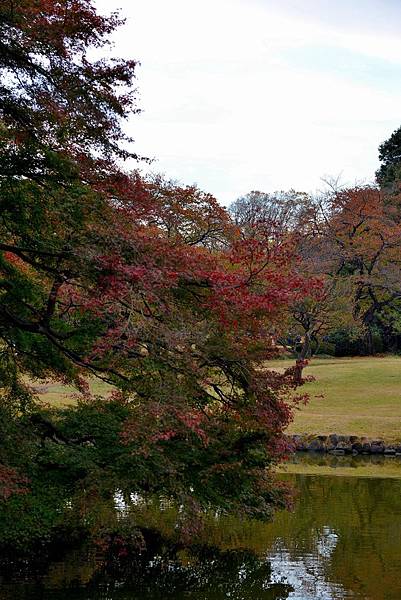 46DSC_9227.JPG 46DSC_9227.JPG