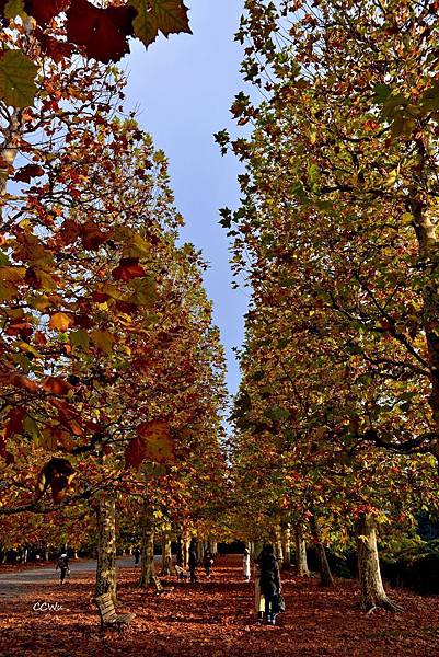 51DSC_9233.JPG 51DSC_9233.JPG