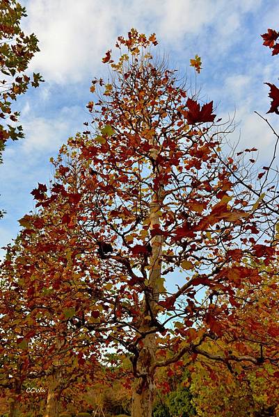 53DSC_9235.JPG 53DSC_9235.JPG