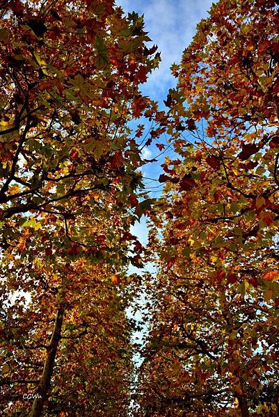 56DSC_9249.JPG 56DSC_9249.JPG