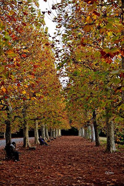 54DSC_9247.JPG 54DSC_9247.JPG