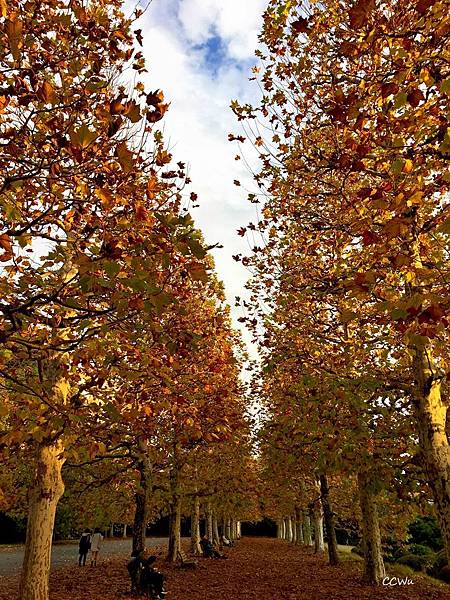 60IMG_7235.JPG 60IMG_7235.JPG