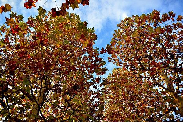 55DSC_9248.JPG 55DSC_9248.JPG