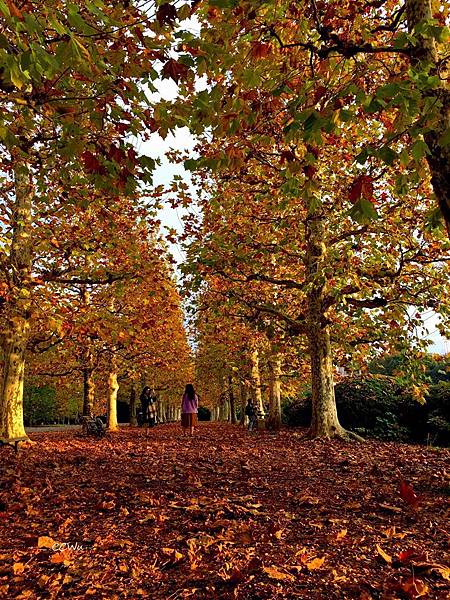 59IMG_7229.JPG 59IMG_7229.JPG