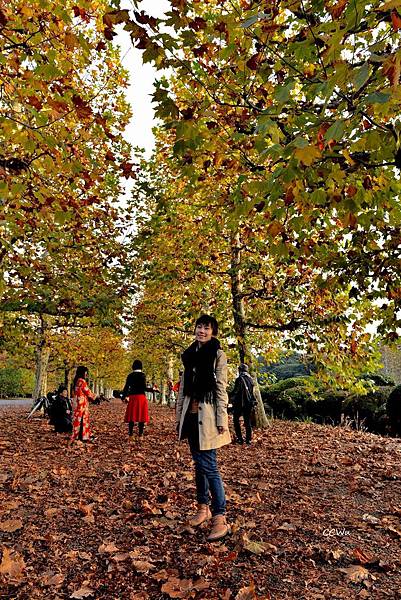 57DSC_9258.JPG 57DSC_9258.JPG