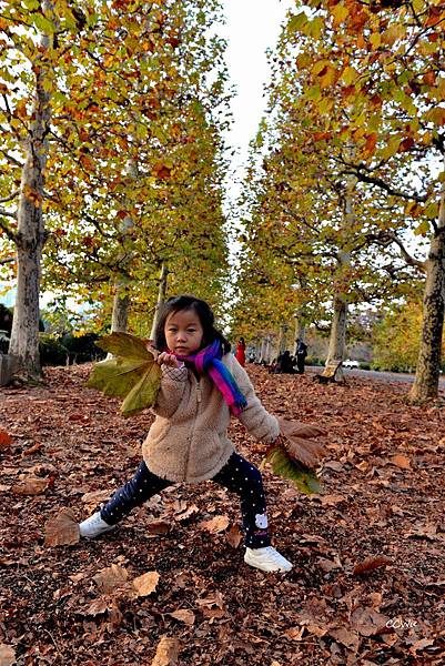 58DSC_9284.JPG 58DSC_9284.JPG