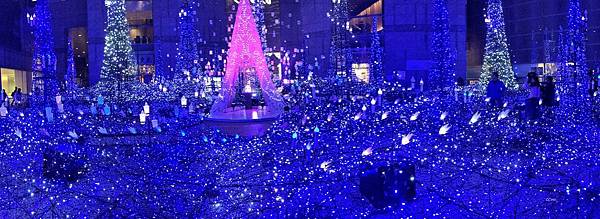 75IMG_7264.JPG 75IMG_7264.JPG