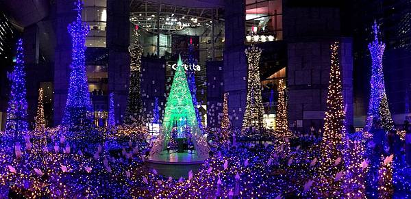 74IMG_7263.JPG 74IMG_7263.JPG