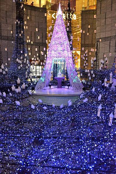 72DSC_9321.JPG 72DSC_9321.JPG