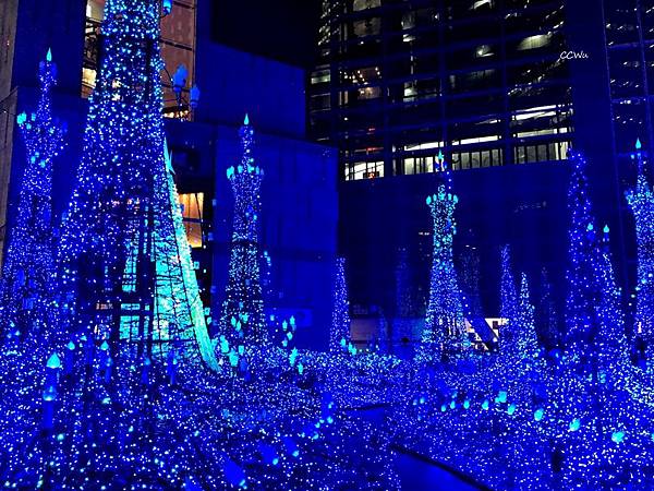 73IMG_7281.JPG 73IMG_7281.JPG