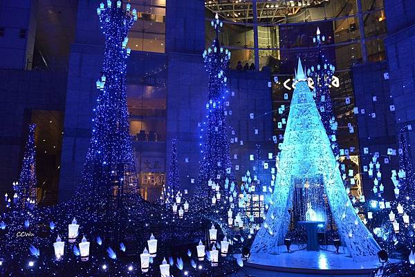 71DSC_9327.JPG 71DSC_9327.JPG