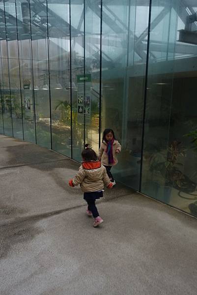 83DSC06791.JPG 83DSC06791.JPG