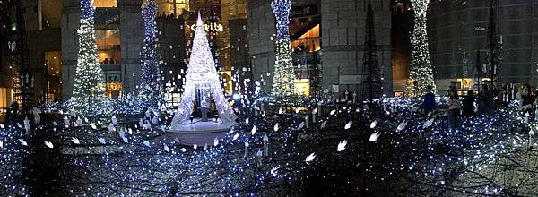 77IMG_7260.JPG 77IMG_7260.JPG