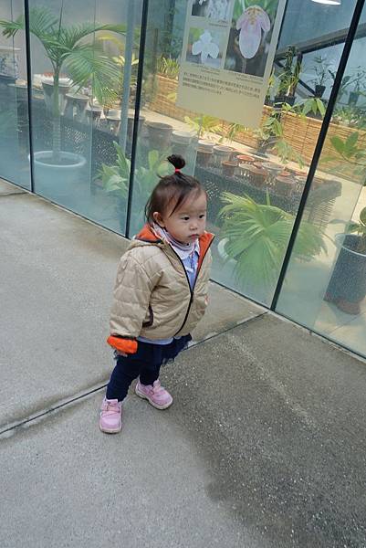 84DSC06793.JPG 84DSC06793.JPG